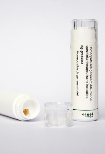 Homeoden Heel Nitricum acidum 30CH (6 Gram)