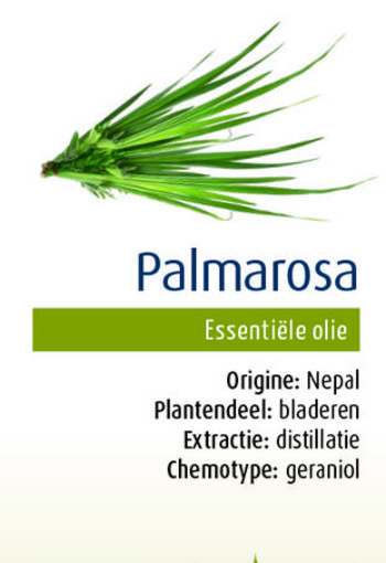 Physalis Palmarosa bio (10 Milliliter)