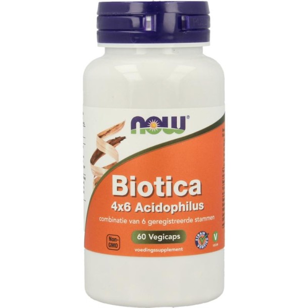 NOW Biotica 4x6 vh probiotica (60 Vegetarische capsules)