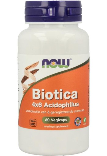 NOW Biotica 4x6 vh probiotica (60 Vegetarische capsules)