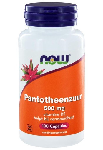 NOW Pantotheenzuur 500mg (B5) (100 Capsules)