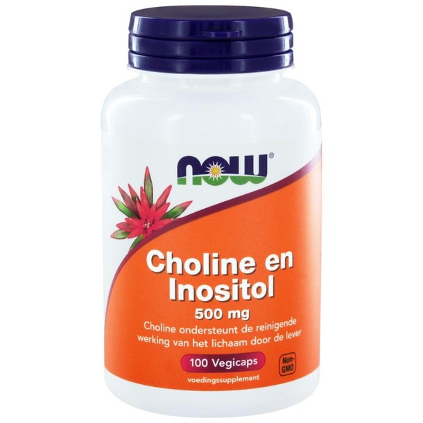 NOW Choline en inositol 500mg (100 Vegetarische capsules)