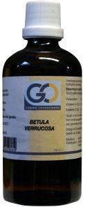 GO Betula verrucosa bio (100 Milliliter)