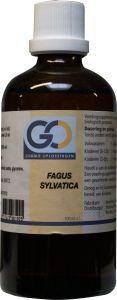 GO Fagus sylvatica bio (100 Milliliter)