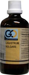 GO Ligustrum vulgare (100 Milliliter)