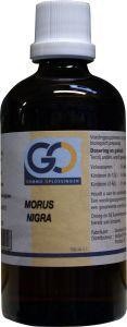 GO Morus nigra (100 Milliliter)