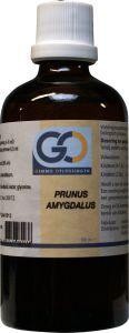 GO Prunus amygdalus bio (100 Milliliter)