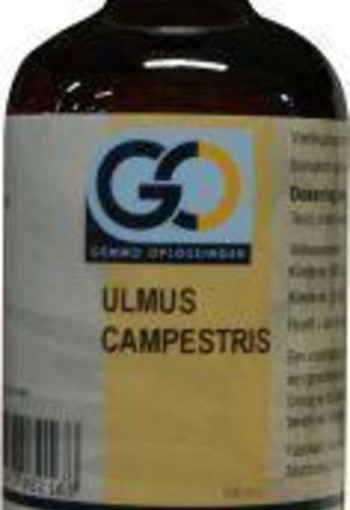 GO Ulmus campestris bio (100 Milliliter)