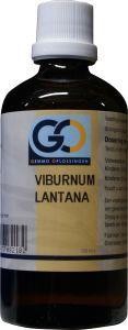 GO Viburnum lantana bio (100 Milliliter)
