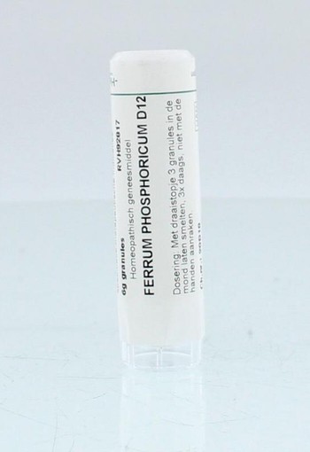 Homeoden Heel Ferrum phosphoricum D12 (6 Gram)